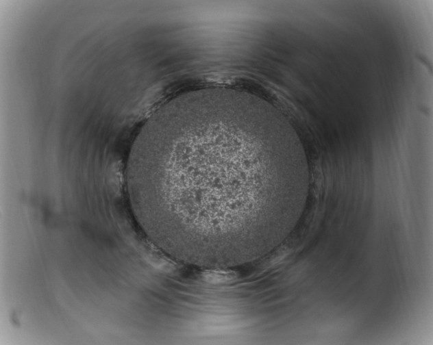 X0000099480707200805161135