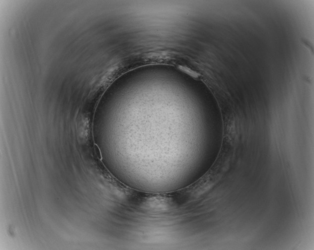 X0000099480708200805161135