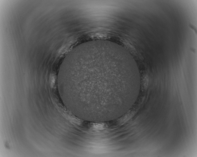 X0000099480709200805161135
