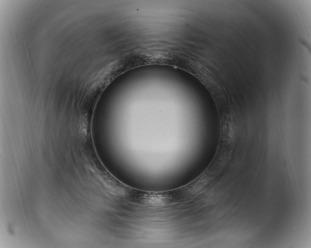 X0000099480710200805161135