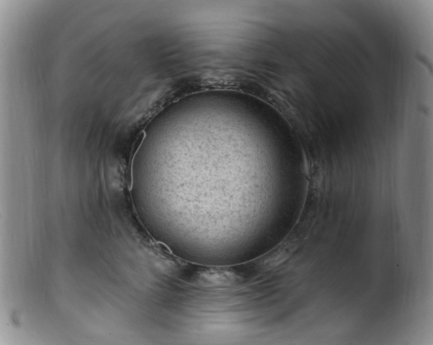 X0000099480712200805161135