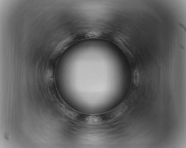 X0000099480714200805161135