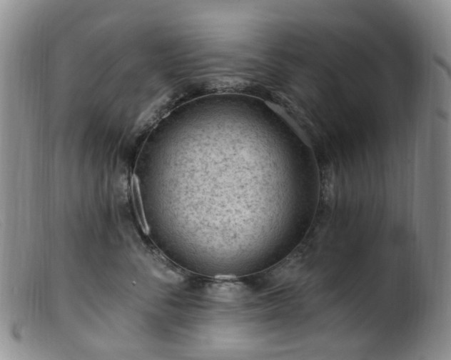 X0000099480716200805161135