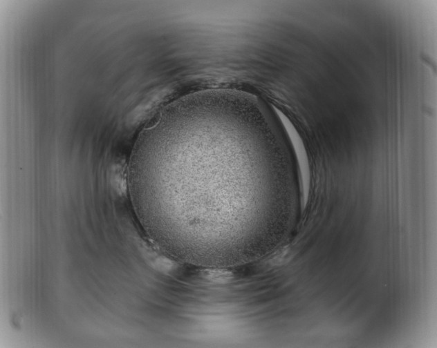 X0000099480719200805161135
