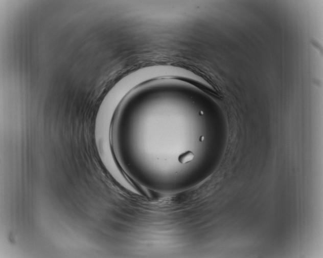X0000099480720200805161135
