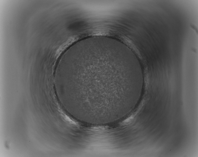 X0000099480721200805161134