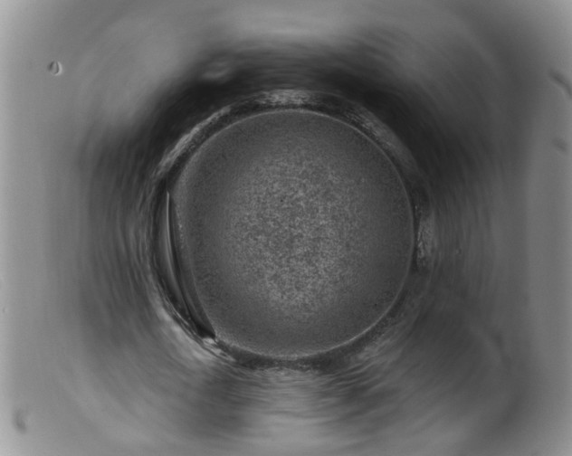 X0000099480722200805161134