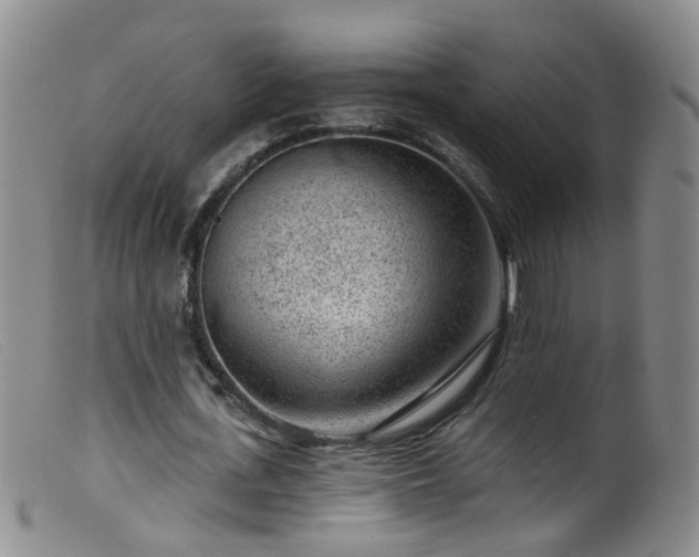 X0000099480723200805161134