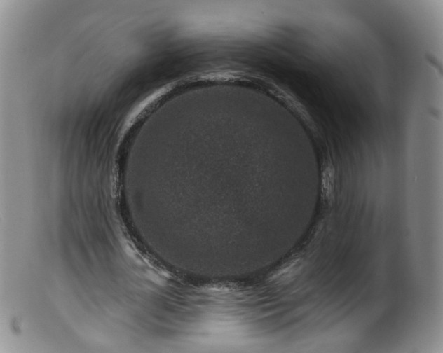X0000099480724200805161134