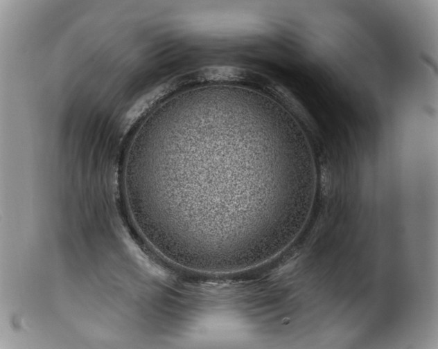 X0000099480725200805161134