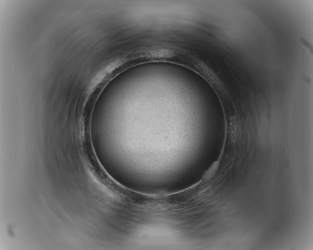 X0000099480726200805161134