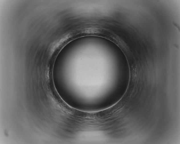X0000099480727200805161134