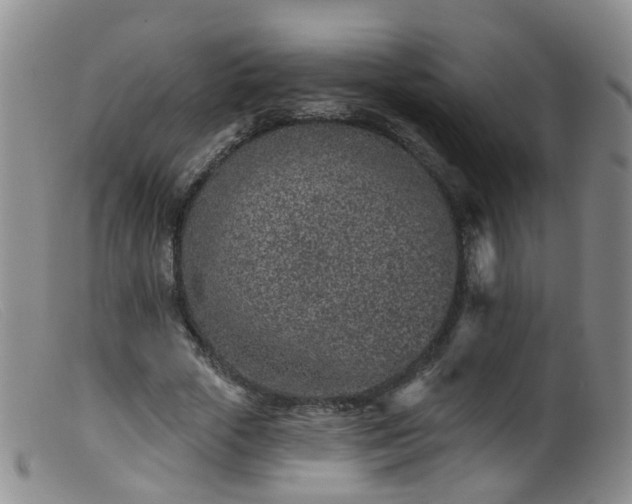 X0000099480729200805161134