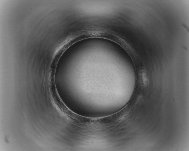 X0000099480730200805161134