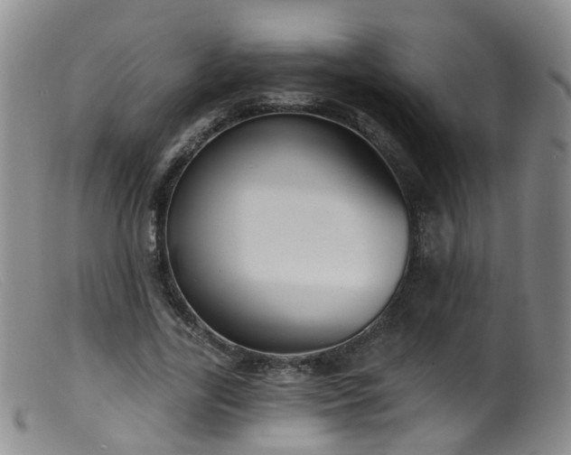 X0000099480731200805161134