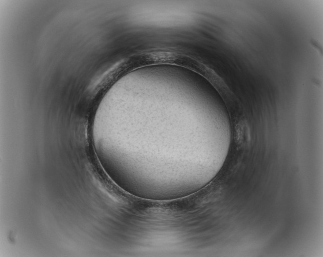 X0000099480733200805161134