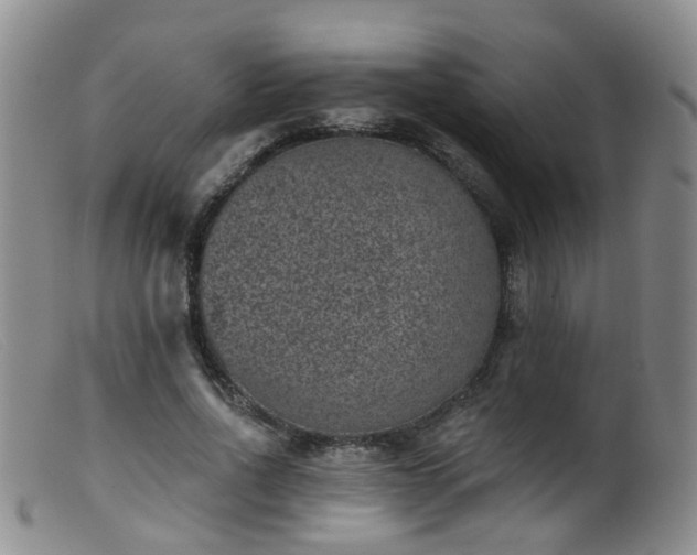 X0000099480734200805161134