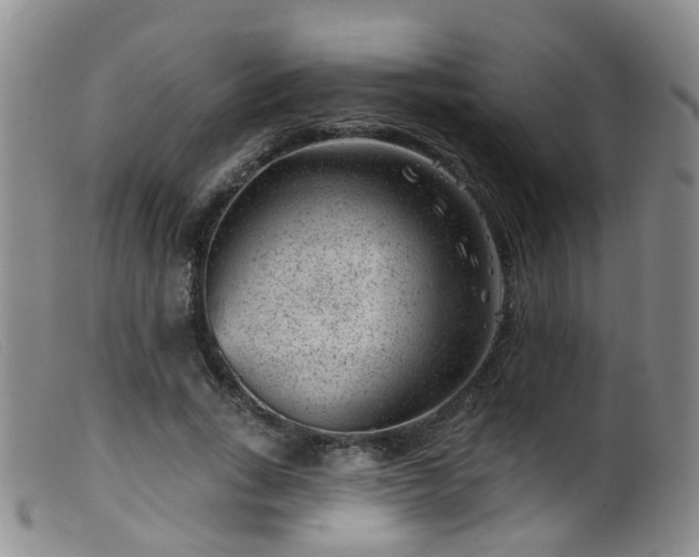 X0000099480735200805161134