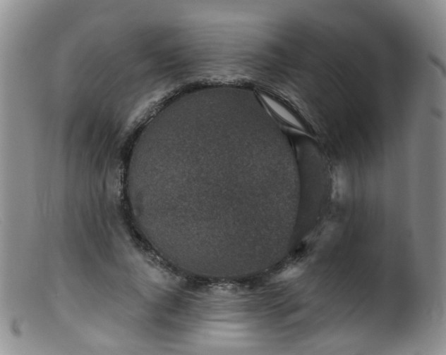 X0000099480736200805161134