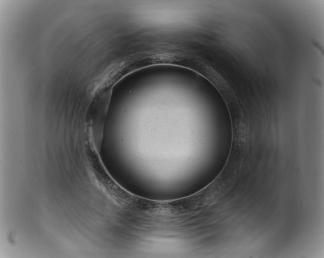 X0000099480738200805161134