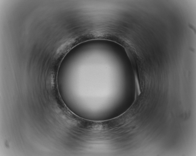 X0000099480740200805161134