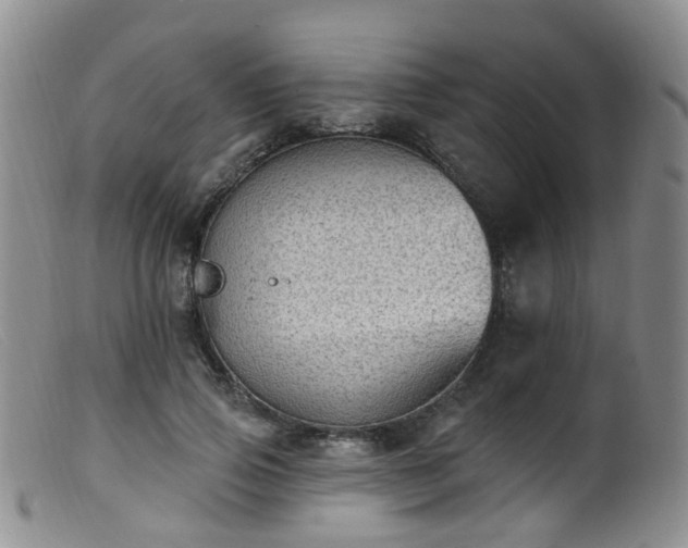 X0000099480741200805161135