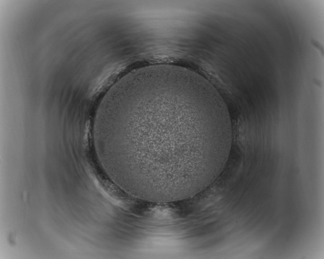 X0000099480742200805161135