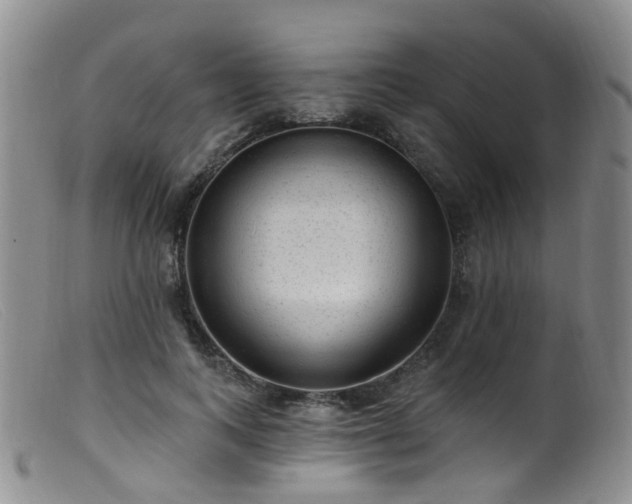X0000099480743200805161135