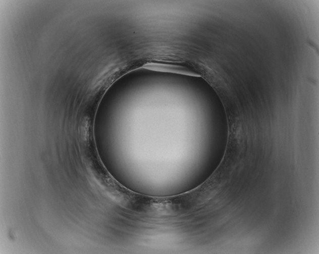 X0000099480744200805161135