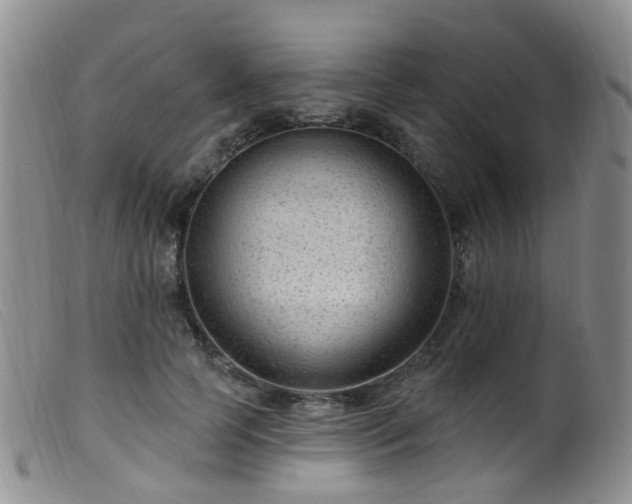 X0000099480745200805161135