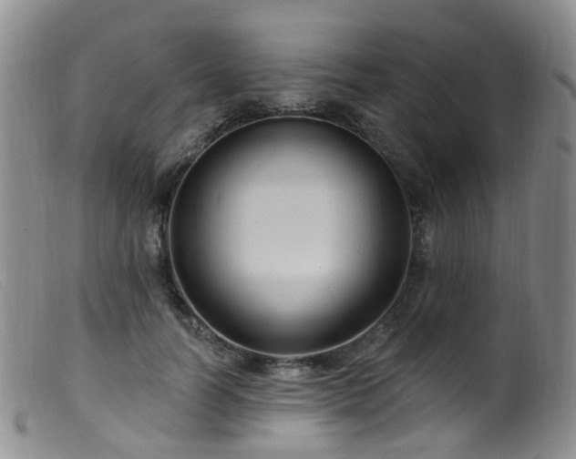X0000099480746200805161135