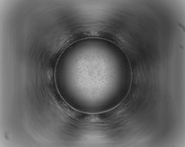 X0000099480747200805161135