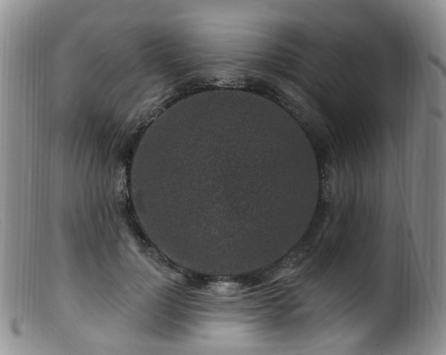 X0000099480748200805161135