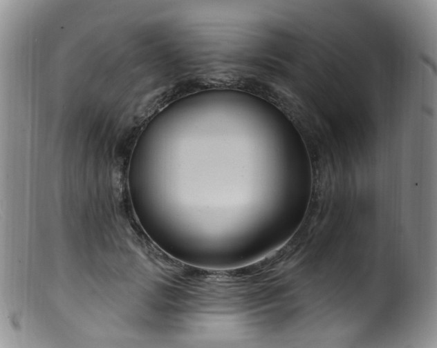 X0000099480749200805161135