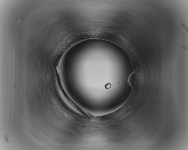 X0000099480750200805161135