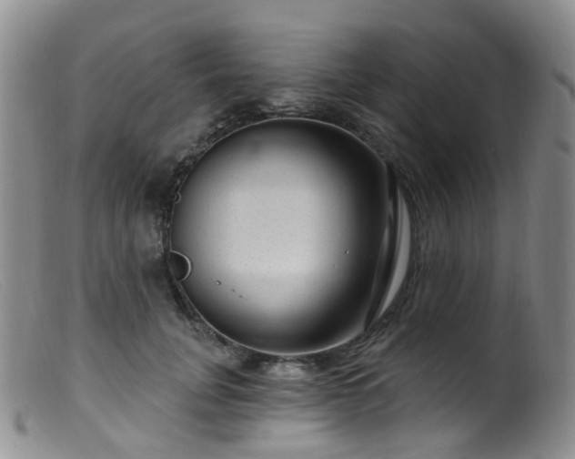 X0000099480751200805161135