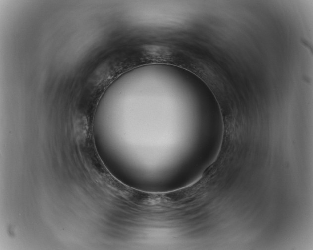 X0000099480752200805161135