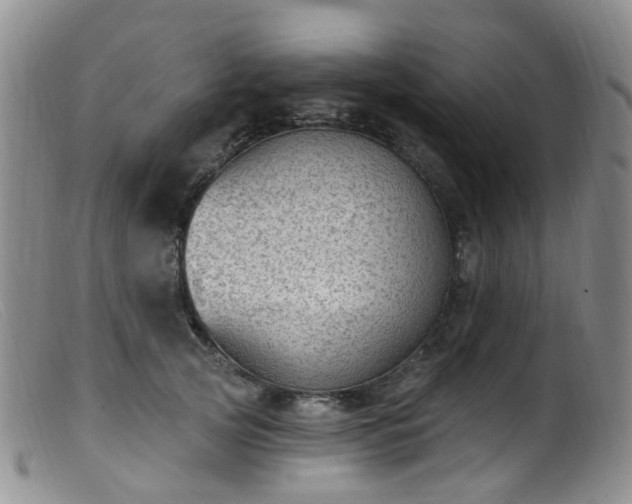 X0000099480753200805161135