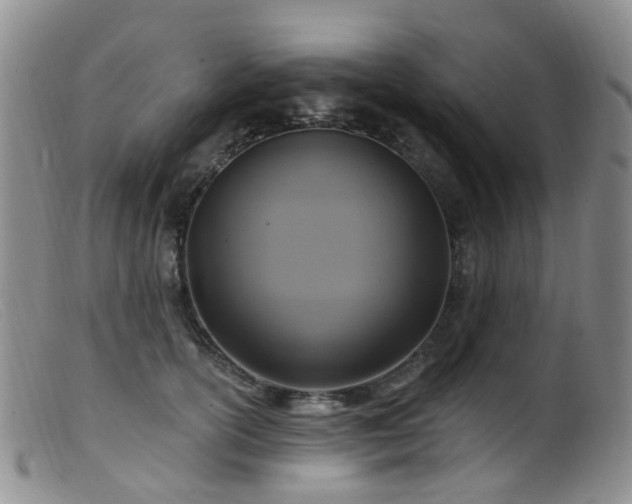 X0000099480754200805161135