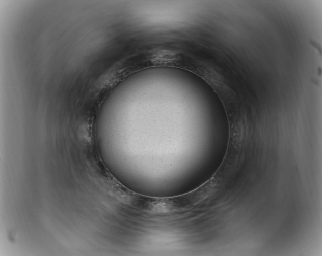 X0000099480755200805161135