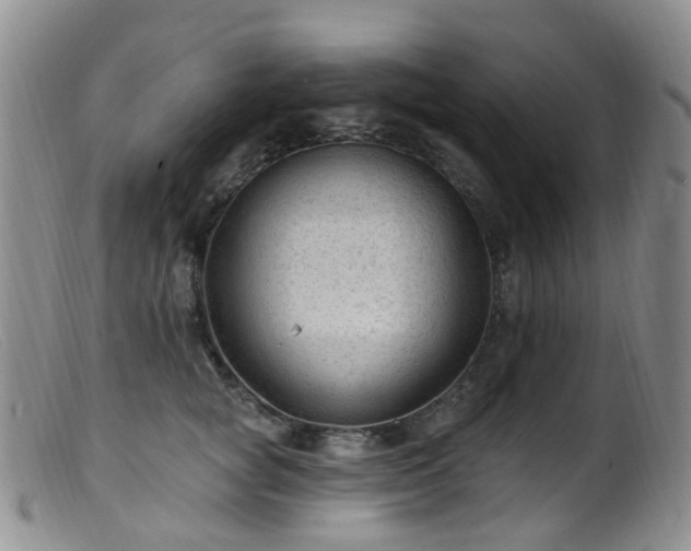 X0000099480757200805161135
