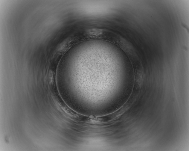 X0000099480758200805161135