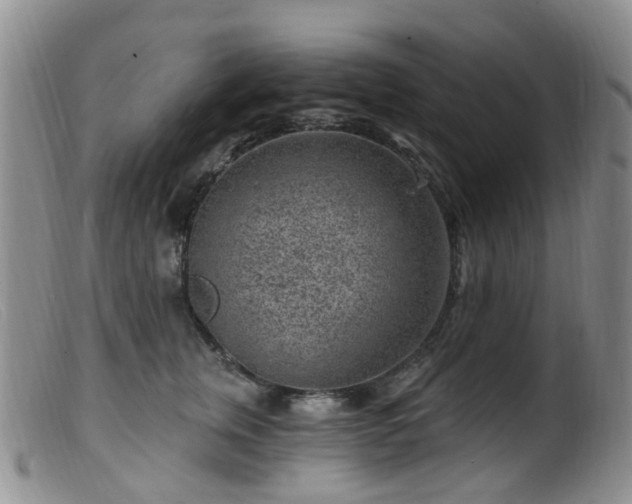 X0000099480759200805161135