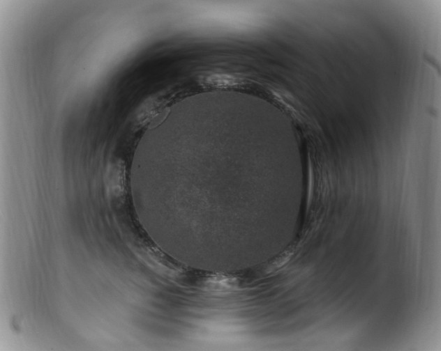 X0000099480760200805161135