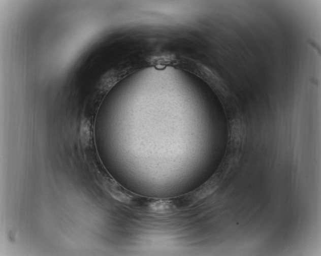 X0000099480761200805161135