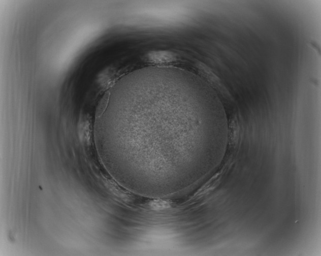 X0000099480762200805161135