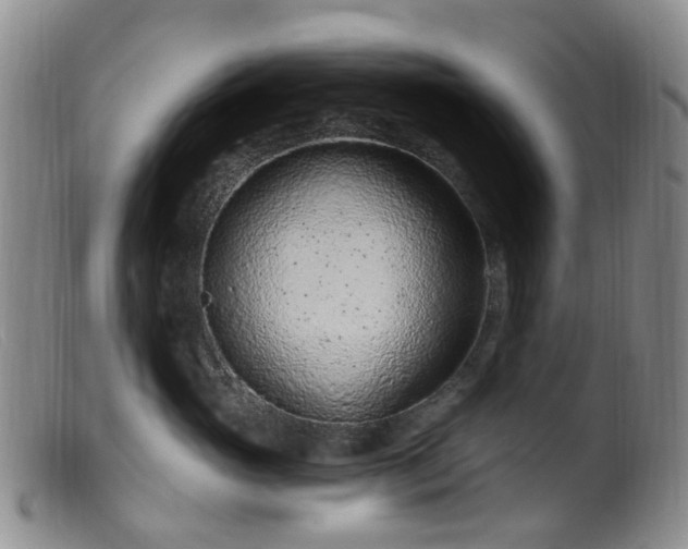 X0000099480765200805161135