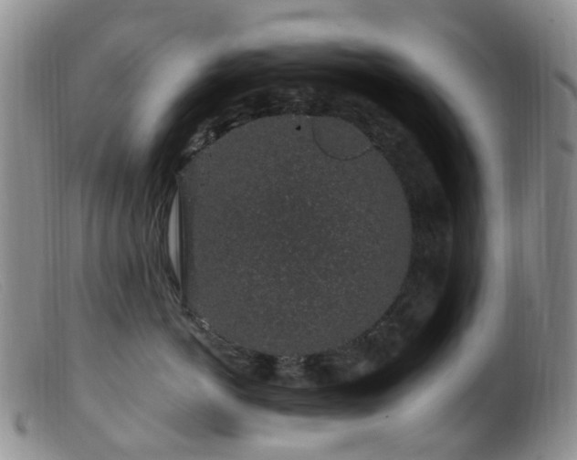 X0000099480766200805161135