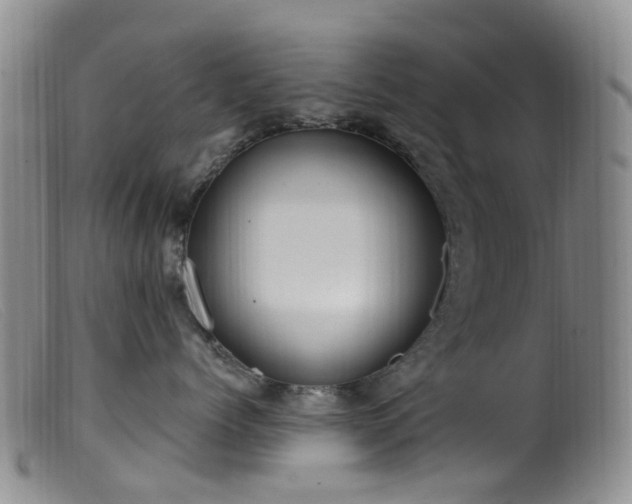 X0000099480768200805161135