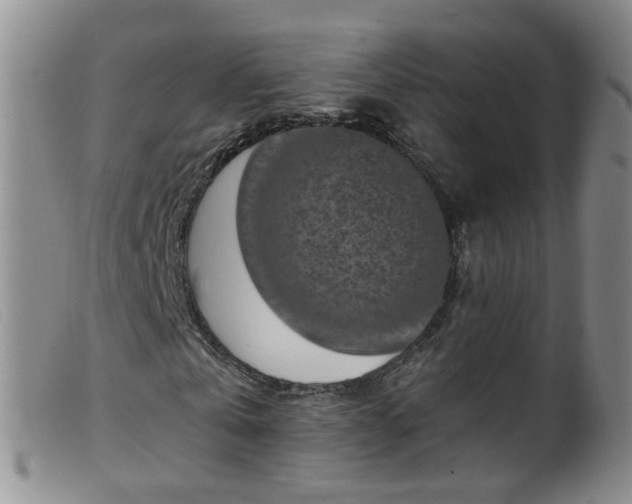 X0000099480769200805161134